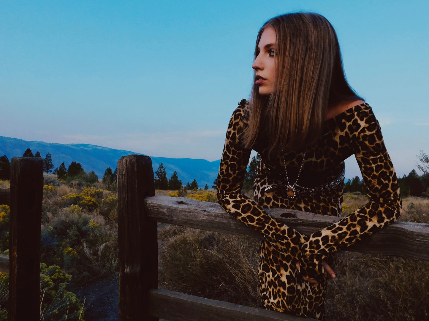 The Prowl Dress - Delayne Dixon