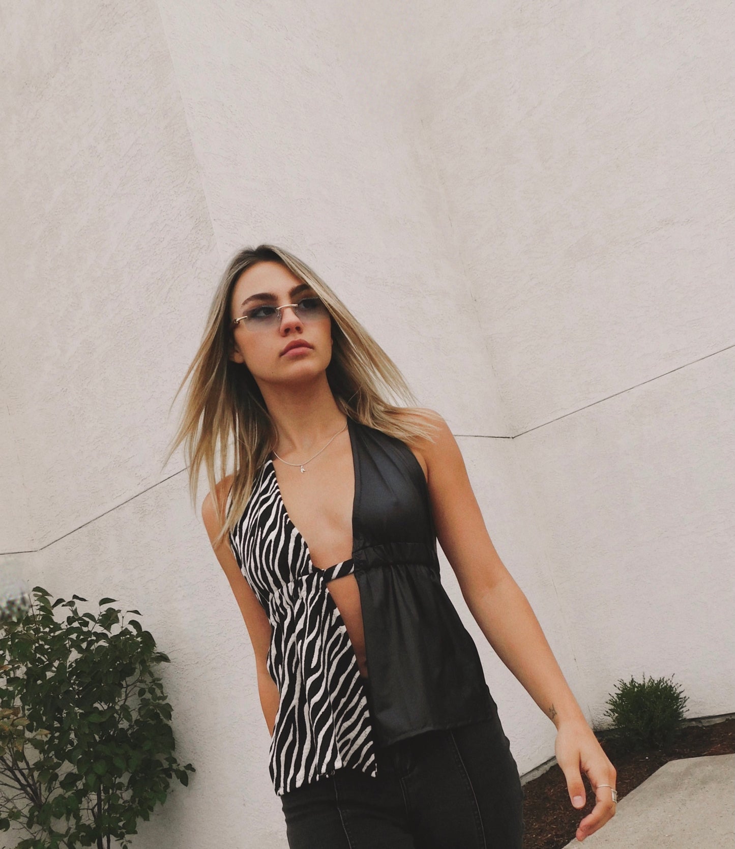 Two-face Zebra Halter