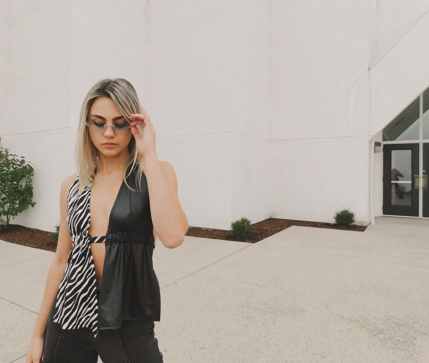Two-face Zebra Halter