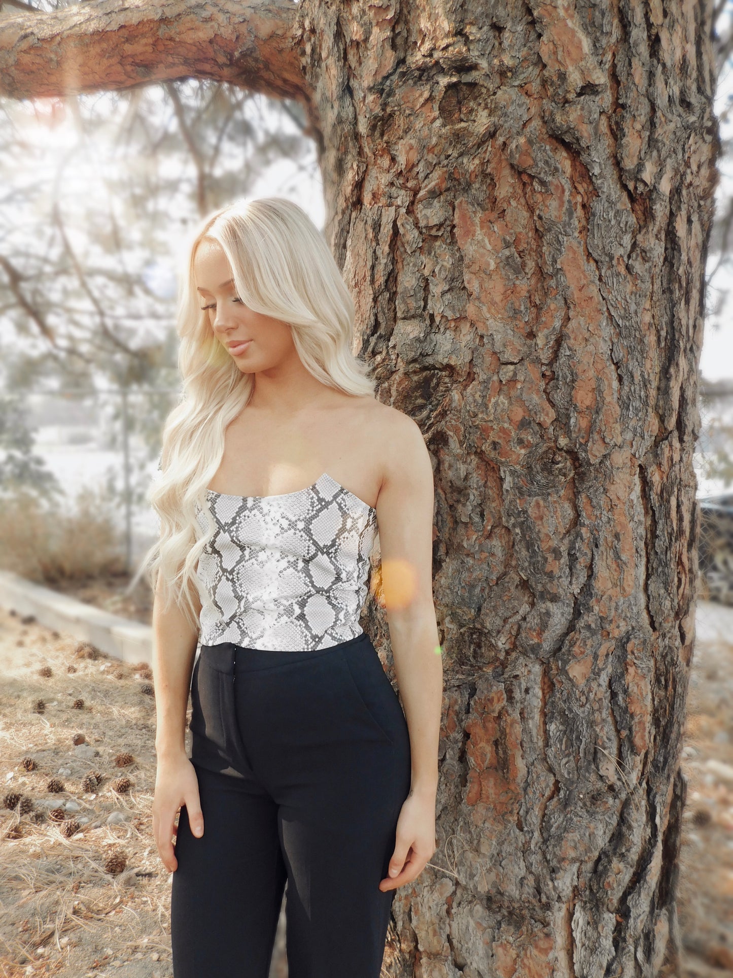 Python Corset 2.0