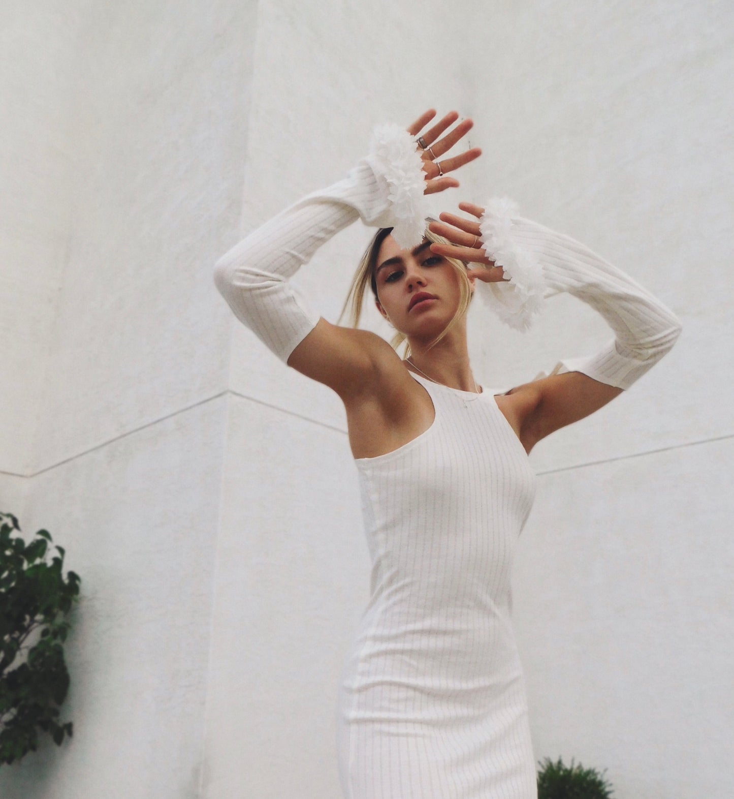 Camellia Dress