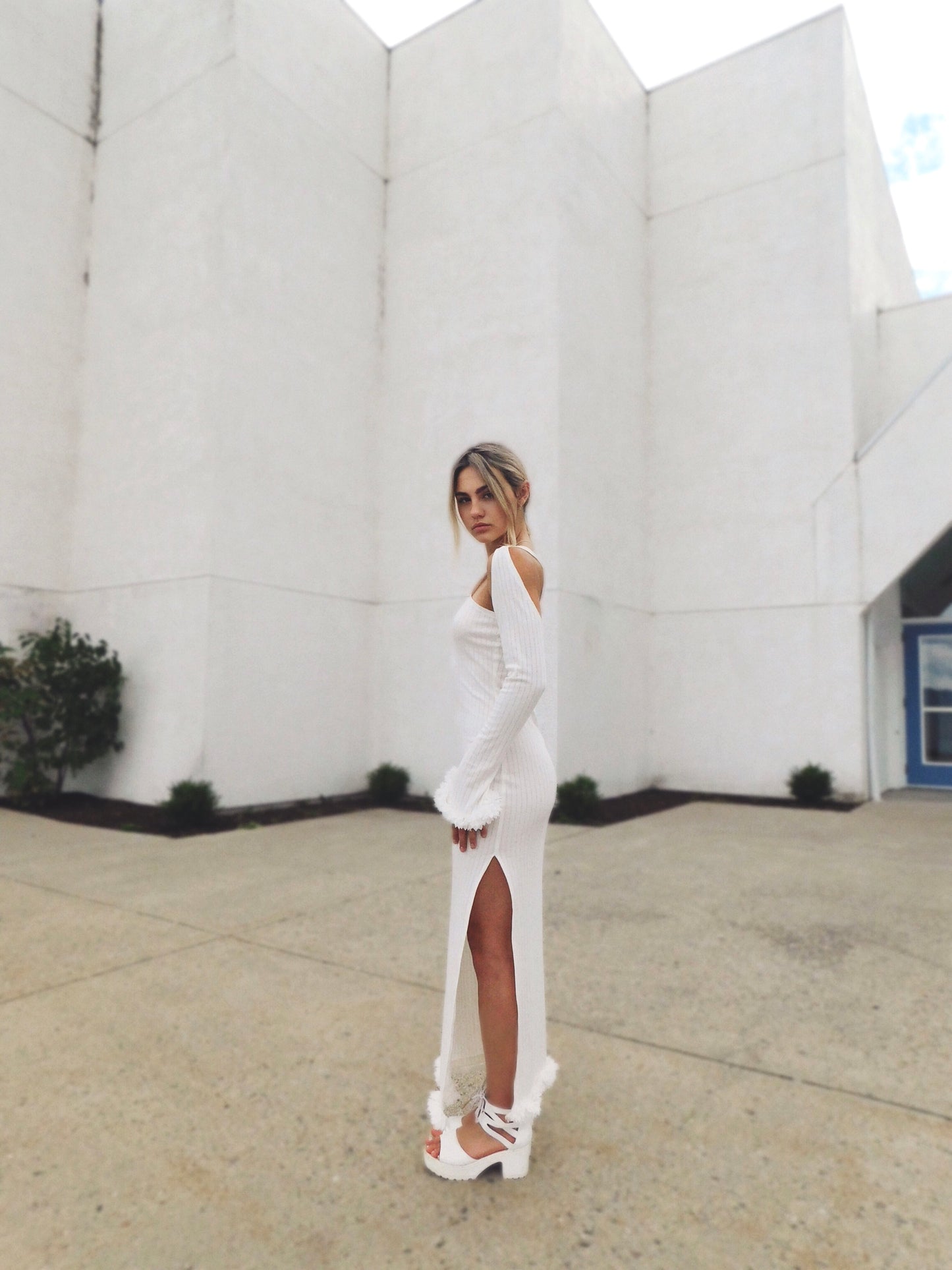 Camellia Dress