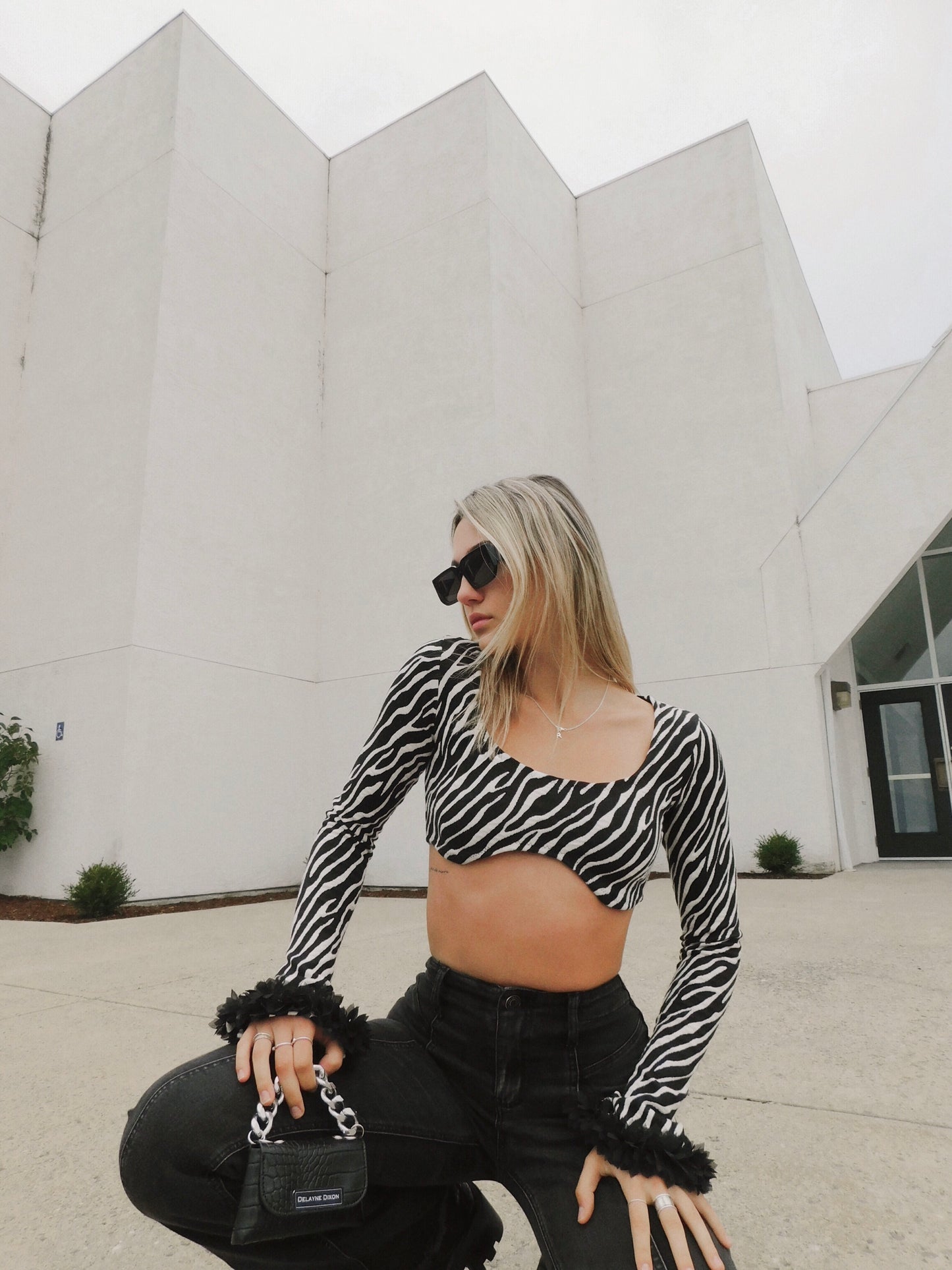 Zebra Top